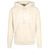 Basic hoodie Thumbnail