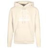 Basic hoodie Thumbnail